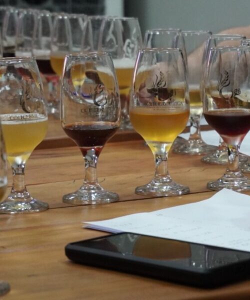 Maringá recebe concurso para analisar mais de 130 opções de cervejas artesanais